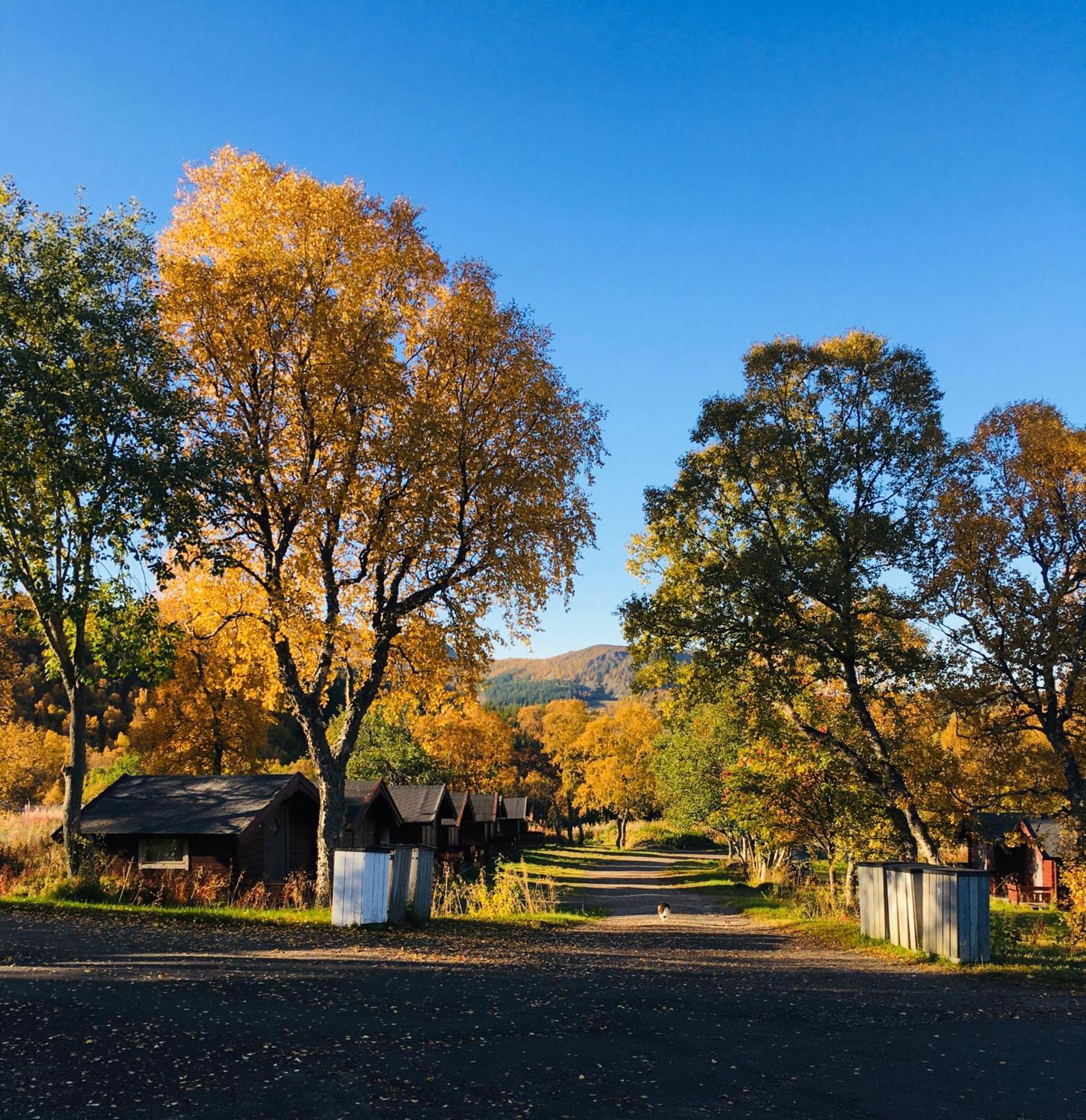 Sortland Camping Og Motell As Екстериор снимка