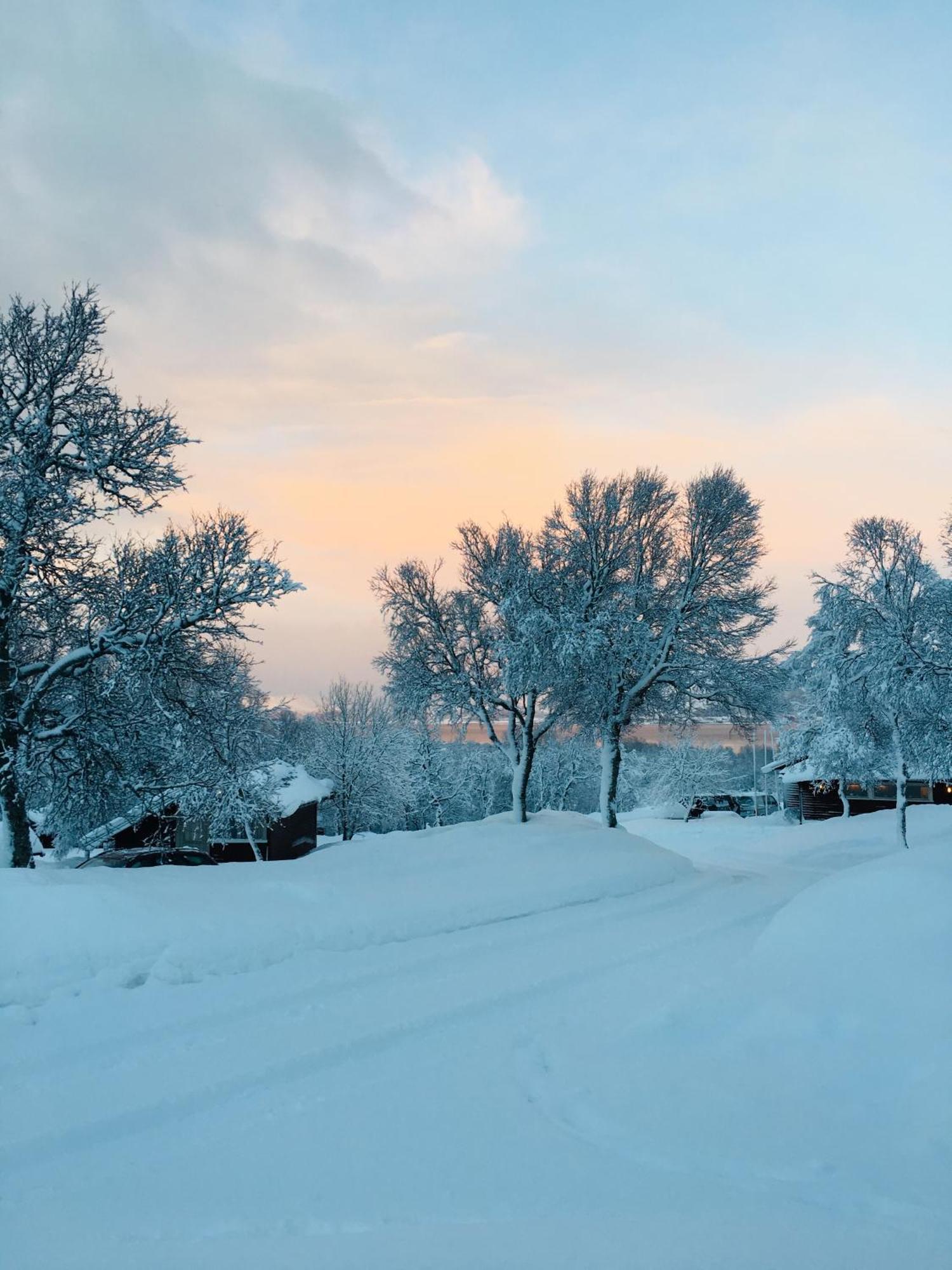 Sortland Camping Og Motell As Екстериор снимка