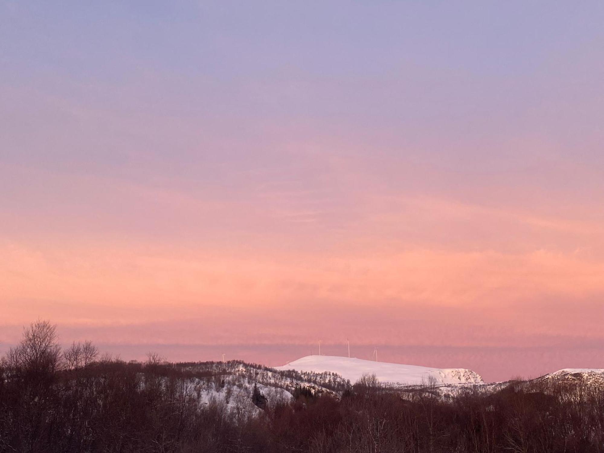 Sortland Camping Og Motell As Екстериор снимка
