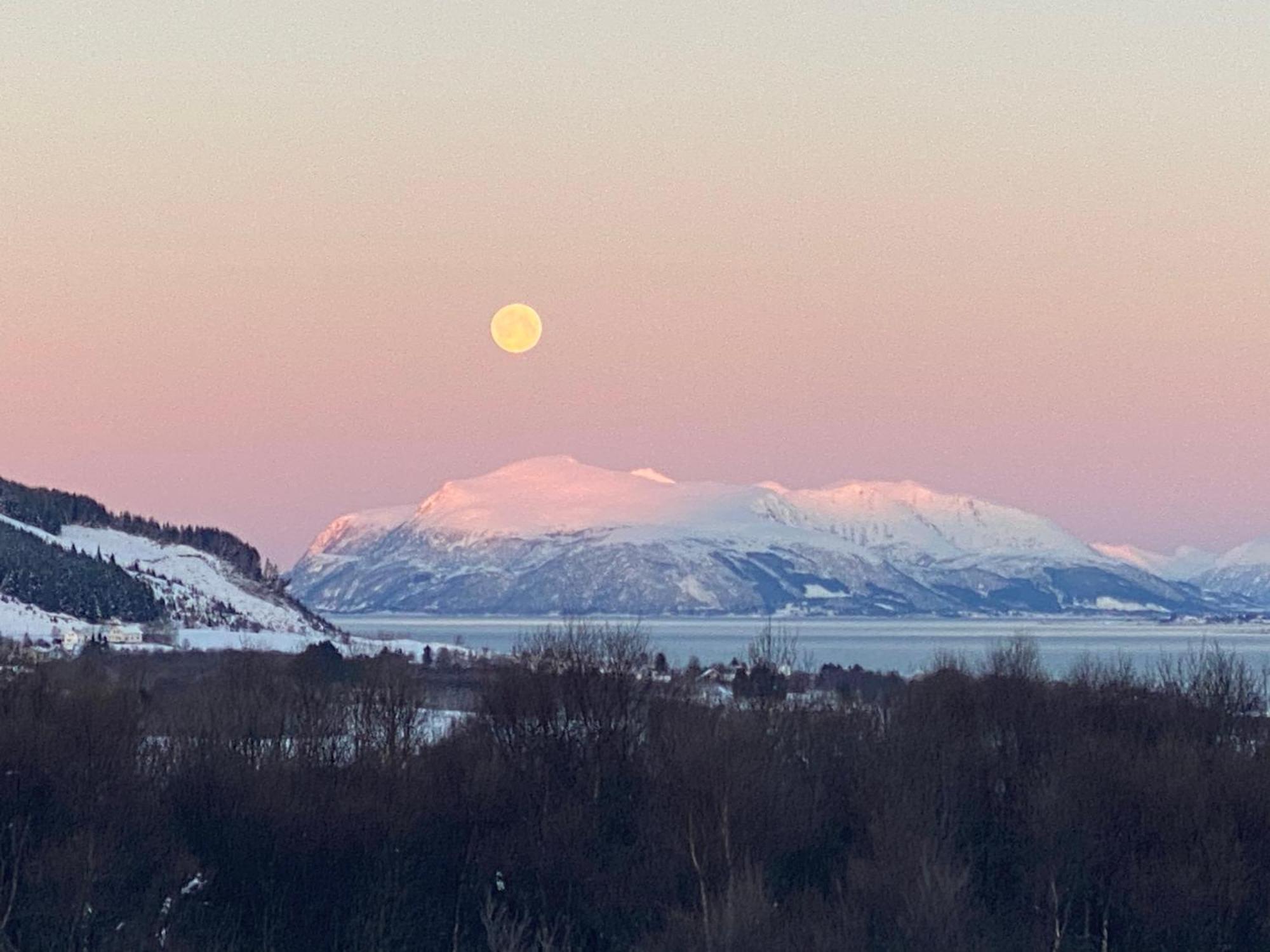 Sortland Camping Og Motell As Екстериор снимка