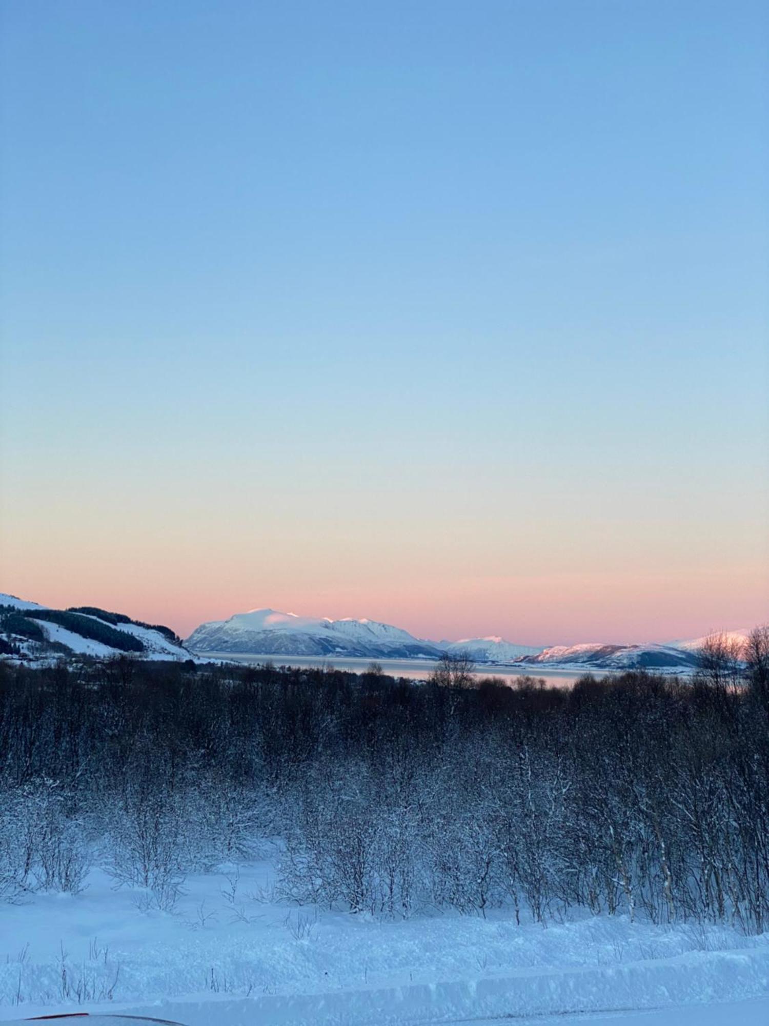 Sortland Camping Og Motell As Екстериор снимка